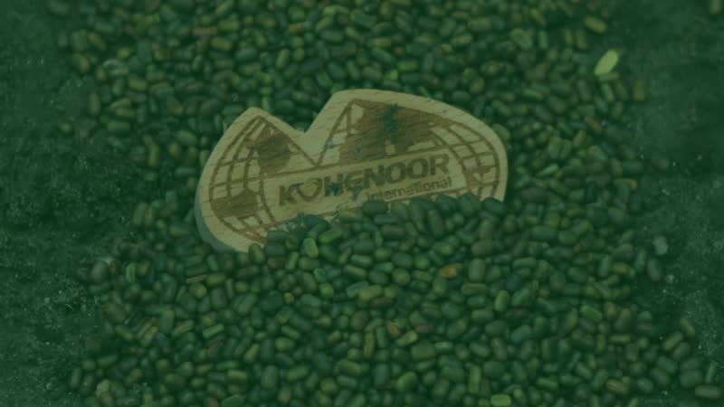 세스바니아 수출 포장 - Sesbania seeds export packaging